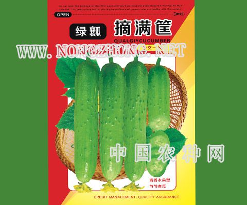 绿瓤摘满筐